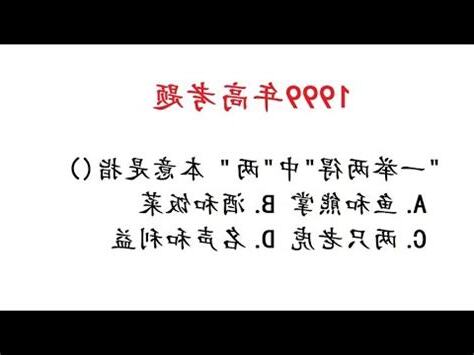 1999 意思